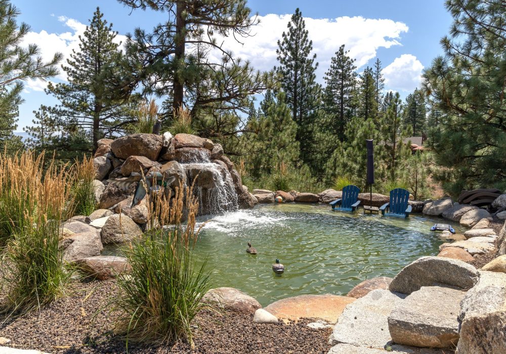 Water feature with large pond