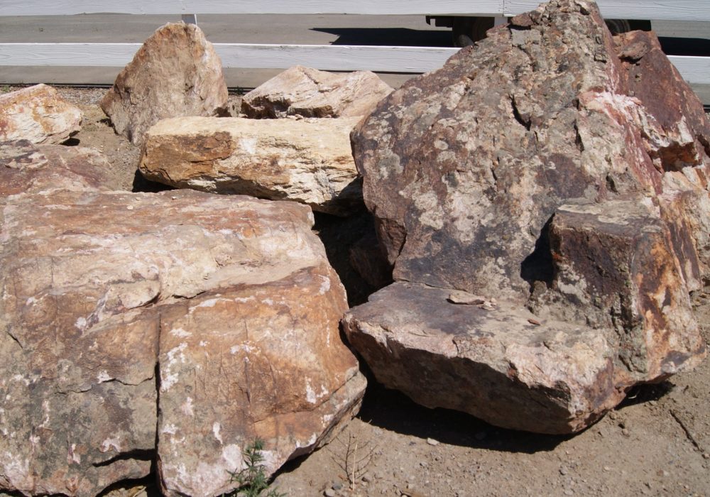 Unique boulders from the gail willey quarry