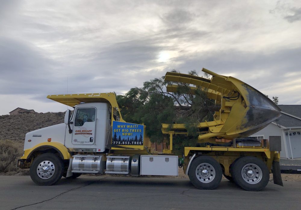 Gail Willey Landscaping Tree Spade Truck