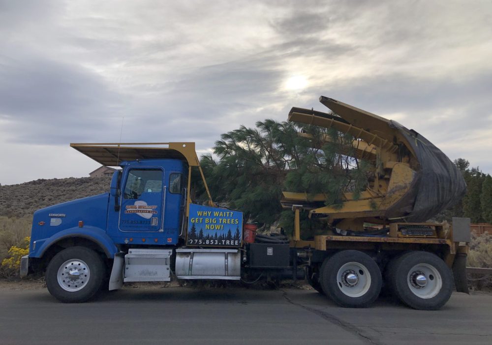 Gail Willey Landscaping Tree Spade Truck