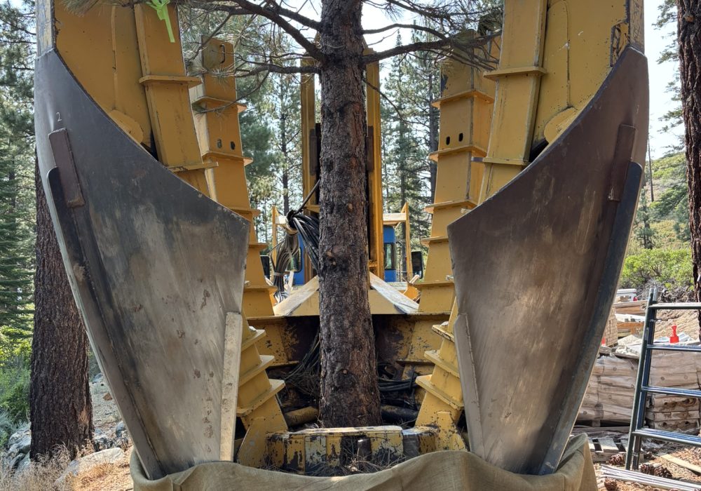 Large Tree Spade with 15' evergreen tree ready to be placed into burlap. gail willey landscaping