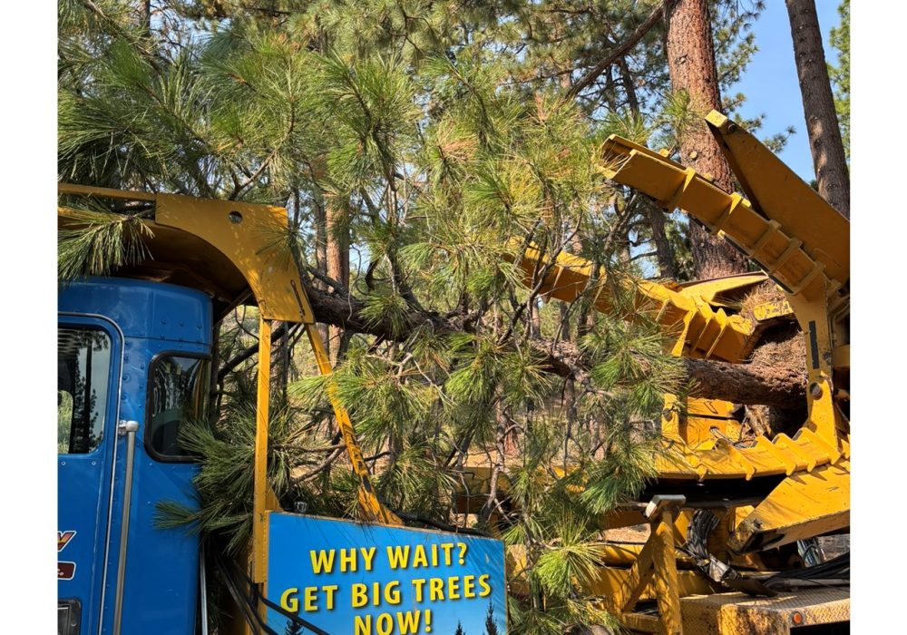 Large Tree Spade Truck, Planting a tree , Gail Willey Landscaping